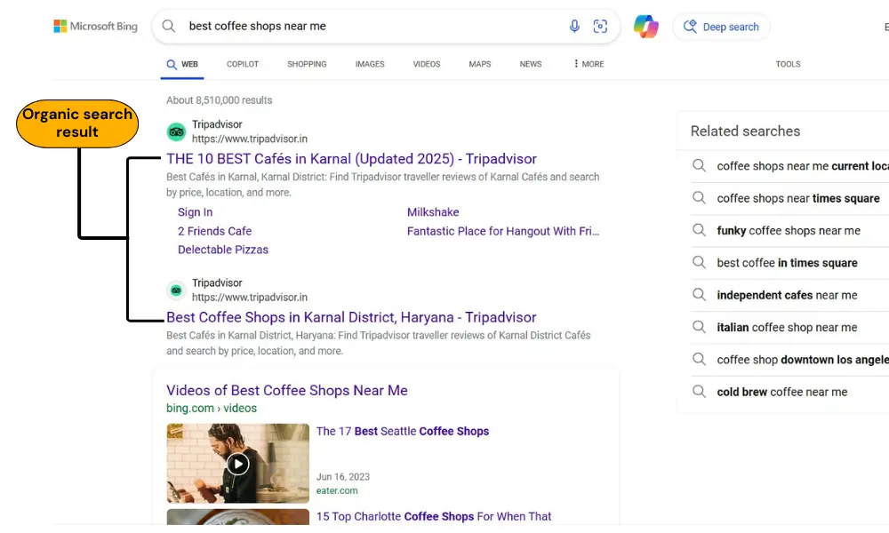 Organic Search Results